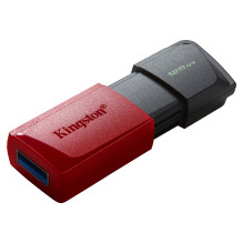 Kingston Technology DataTraveler Exodia M USB flash drive