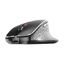 CHERRY MW 8C ERGO mouse