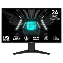 MSI G242L E14 kompiuterio monitorius