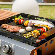 Black+Decker BXOP4900E 2-burner gas barbecue Black+Decker BXOP4900E 2-burner gas barbecue