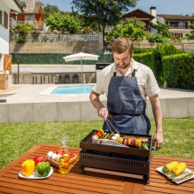 Black+Decker BXOP4900E 2-burner gas barbecue Black+Decker BXOP4900E 2-burner gas barbecue
