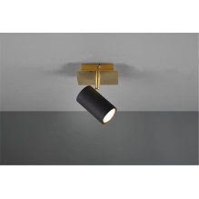 Luminaire directing Trio MARLEY, 25 W, GU10