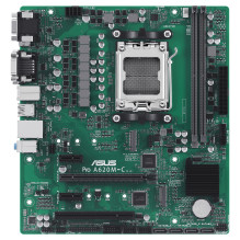 Asus Pro A620M-C-CSM