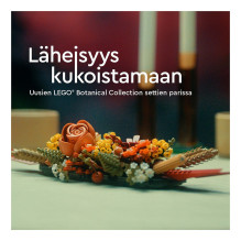 LEGO Botanicals laukinių gėlių puokštė LEGO Botanicals laukinių gėlių puokštė
