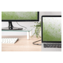 Digitus DA-70821 video cable adapter