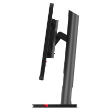 Lenovo ThinkVision P25i-30 kompiuterio monitorius