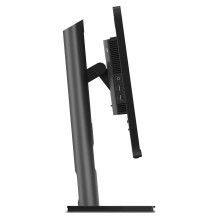 Lenovo ThinkVision P25i-30 kompiuterio monitorius