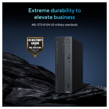 ASUS ExpertCenter P500 SFF P500SV-05210H009X