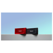 Kingston Technology XS1000 Red