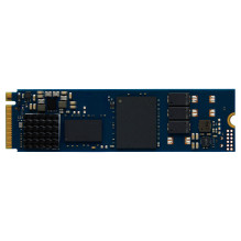 Kingston Technology DC2000B