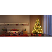 Govee String Lights 2S - 20M