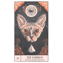 Crossed Destinies Tarot kortos Rockpool Publishing