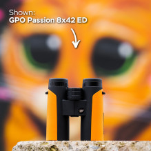 Optical device - GPO Passion 8x32ED binoculars 8x32mm waterproof orange