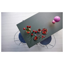 LEGO Botanicals Bouquet of Roses 10328