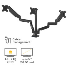 Fellowes Platinum Series 8042601 monitor mount / stand