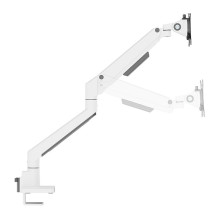 Neomounts DS70-250WH1 monitor mount / stand