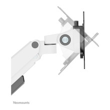 Neomounts DS70-250WH1 monitor mount / stand