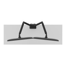 Neomounts DS70-250BL2 monitor mount / stand