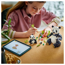 LEGO Creator Laukiniai gyvūnai: Pandų šeima