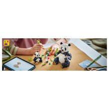 LEGO Creator Wild Animals: Panda Family LEGO Creator Wild Animals: Panda Family