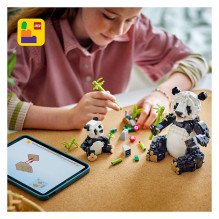 LEGO Creator Laukiniai gyvūnai: Pandų šeima