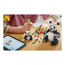 LEGO Creator Laukiniai gyvūnai: Pandų šeima