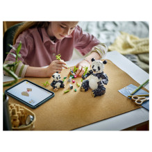 LEGO Creator Laukiniai gyvūnai: Pandų šeima