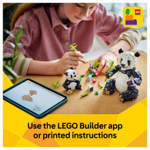 LEGO Creator Laukiniai gyvūnai: Pandų šeima