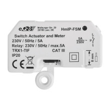 Homematic IP 142721A0 smart...