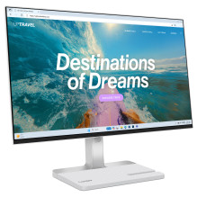 Lenovo L24D-4C computer monitor