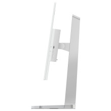 Lenovo L24D-4C kompiuterio monitorius