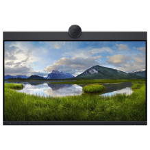 DELL P2424HEB