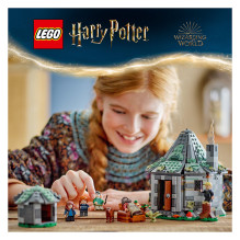 LEGO Harry Potter Hagrid's Hut: An Unexpected Visit