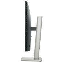 DELL Pro Plus P2425 kompiuterio monitorius