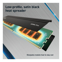 Crucial Pro CP2K32G4DFRA32A memory module