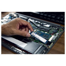 Kingston Technology NV3 Kingston Technology NV3