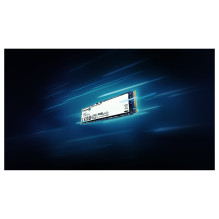 Kingston Technology NV3