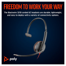 HP Poly Blackwire 3210 monofoninės USB-C ausinės + USB-C / A adapteris