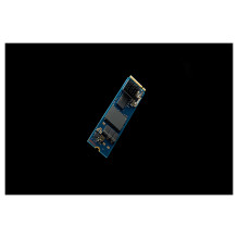 Kingston Technology DC2000B
