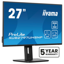 iiyama ProLite...