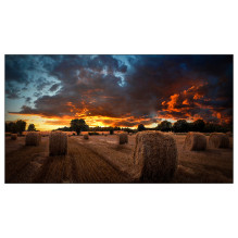 Samsung VM46B-U