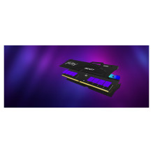 Kingston Technology FURY Beast RGB memory module