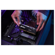Kingston Technology FURY Beast RGB memory module
