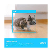 Tp-Link Tapo C225