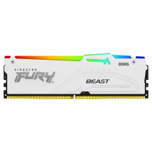 Kingston Technology FURY Beast RGB memory module