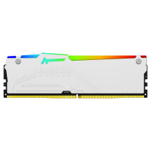 Kingston Technology FURY Beast RGB memory module