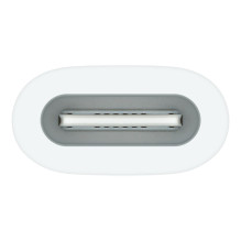 Apple USB-C to Pencil Adapter Apple USB-C to Pencil Adapter