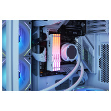 Kingston Technology FURY Beast RGB memory module