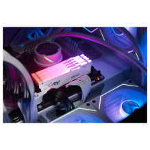 Kingston Technology FURY Beast RGB memory module