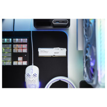 Kingston Technology FURY Beast RGB memory module